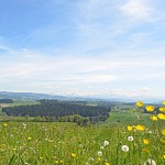 ...bis zu den Gipfeln der Berner Alpen